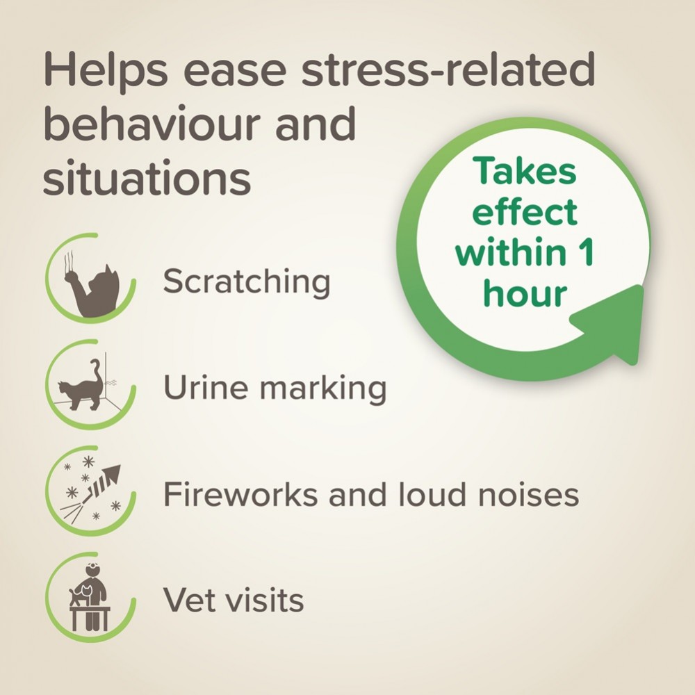 Beaphar StressLess Herbal Calming Spot-On For Cats /Успокояващи Пипети За Катка/-3бр Beaphar StressLess Herbal Calming Spot-On For Cats /Успокояващи Пипети За Катка/-3бр