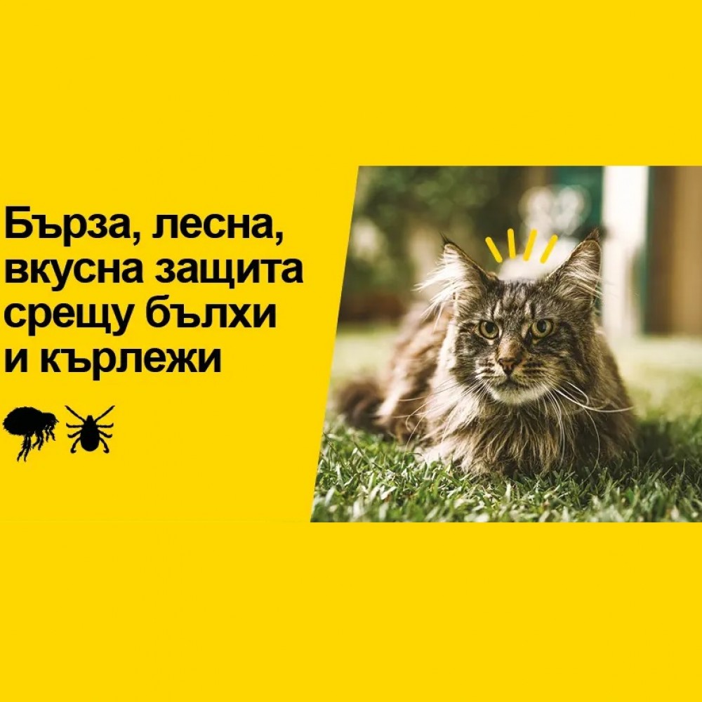 AdTab For Cat 2-8kg /Дъвчаща Противопаразитна Таблетка За Външни Паразити За Котки От 2 До 8кг/-1бр AdTab For Cat 2-8kg /Дъвчаща Противопаразитна Таблетка За Външни Паразити За Котки От 2 До 8кг/-1бр