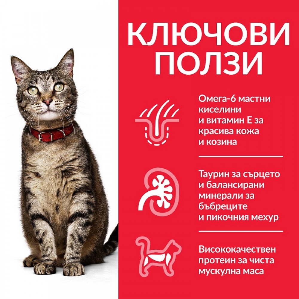 Hill's Science Plan Feline Adult Chunks In Gravy Pouches FAVOURITE SELECTION /Пълноценна Храна За Израснали Котки Различни Видове/-12x85гр Hill's Science Plan Feline Adult Chunks In Gravy Pouches FAVOURITE SELECTION /Пълноценна Храна За Израснали Котки Различни Видове/-12x85гр