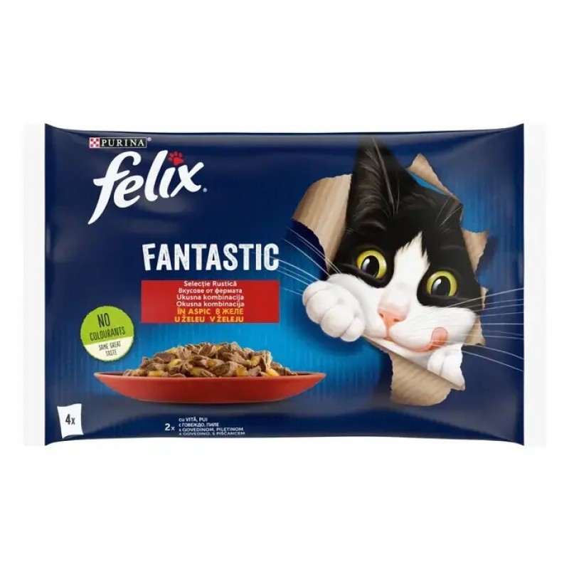 Felix Fantastic Adult Mixed Selection In Jelly /Храна За Израснали Котки С Пилешко И Говеждо Месо В Желе/-4х85гр Felix Fantastic Adult Mixed Selection In Jelly /Храна За Израснали Котки С Пилешко И Говеждо Месо В Желе/-4х85гр