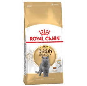 Royal Canin British Shorthair Adult /Храна За Израснали Котки Порода Британска Късокосместа/-10кг
