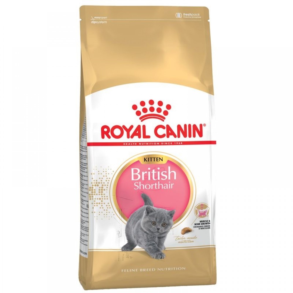 Royal Canin British Shorthair Kitten /Храна За Подрастващи Котенца Порода Британска Късокосместа/-10кг