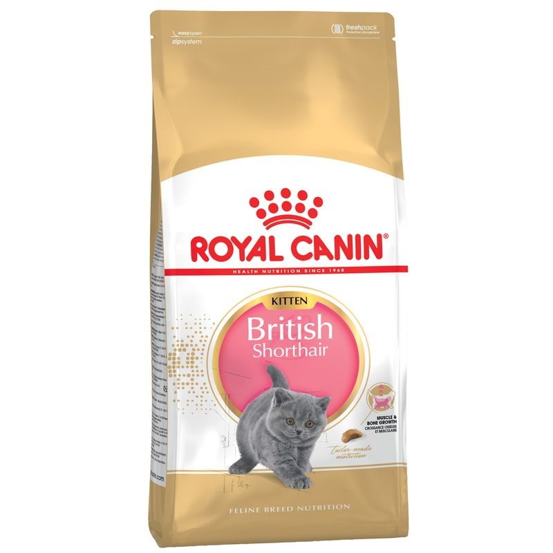 Royal Canin British Shorthair Kitten /Храна За Подрастващи Котенца Порода Британска Късокосместа/-10кг