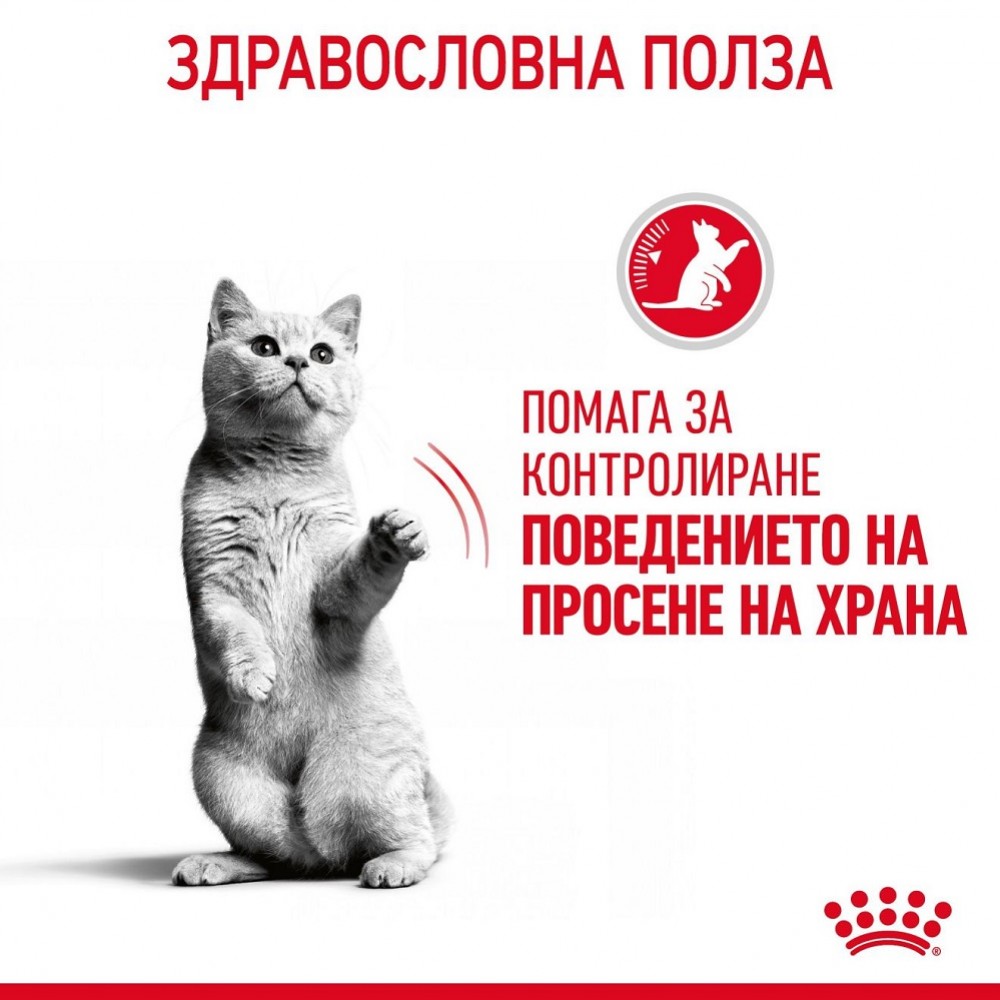 Royal Canin Appetite Control Care /Храна За Израснали Котки За Контрол На Апетита/-2кг Royal Canin Appetite Control Care /Храна За Израснали Котки За Контрол На Апетита/-2кг