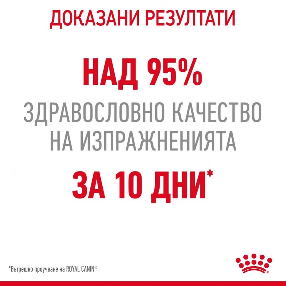 Royal Canin Digestive Care /Храна За Израснали Котки За Оптимален Храносмилателен Комфорт/-400гр Royal Canin Digestive Care /Храна За Израснали Котки За Оптимален Храносмилателен Комфорт/-400гр
