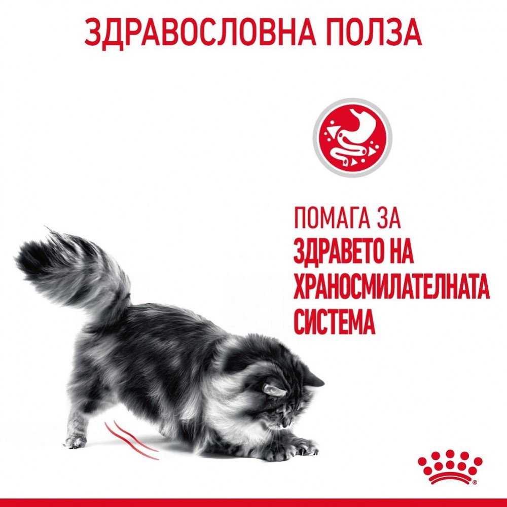 Royal Canin Digestive Care /Храна За Израснали Котки За Оптимален Храносмилателен Комфорт/-400гр Royal Canin Digestive Care /Храна За Израснали Котки За Оптимален Храносмилателен Комфорт/-400гр