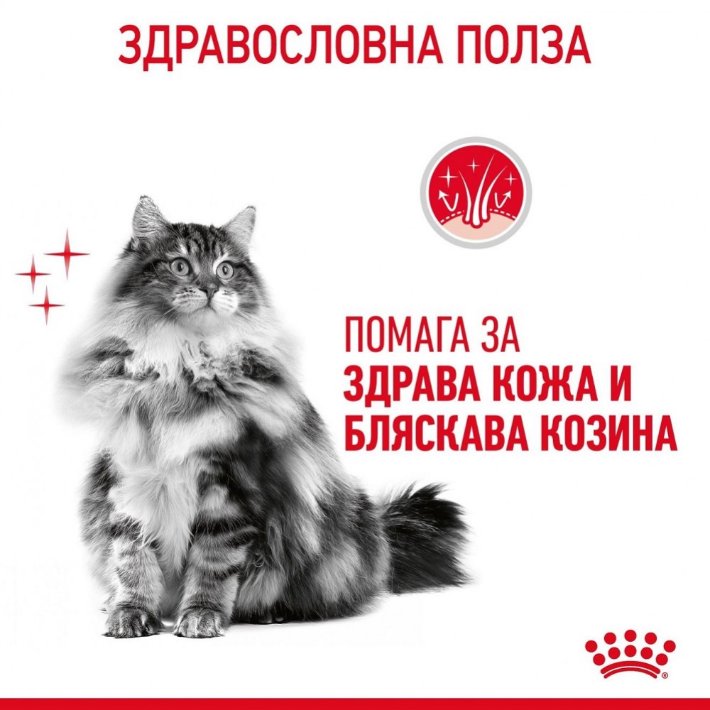 Royal Canin Hair&Skin Care /Храна За Израснали Котки За Красива И Здрава Кожа И Козина/-400гр