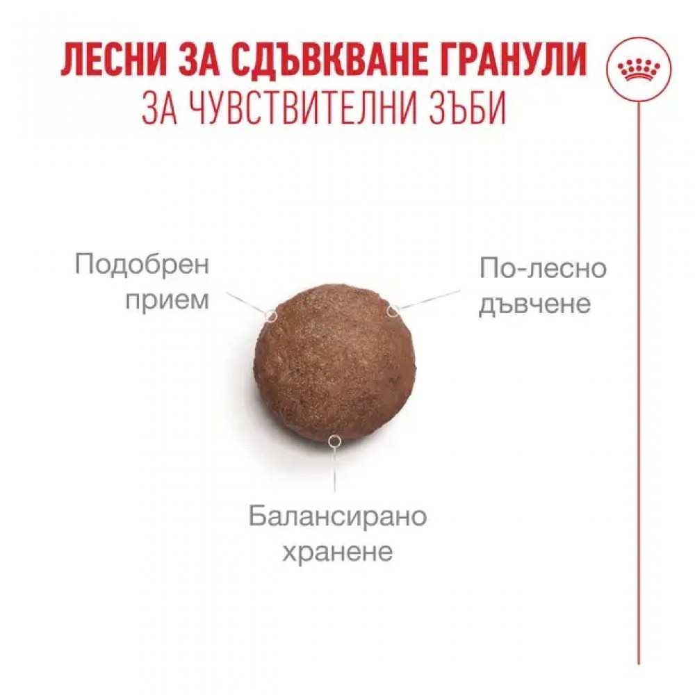 Royal Canin Ageing 11+ /Пълноценна Храна За Стари Котки/-400гр