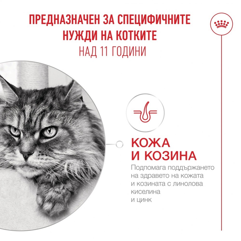 Royal Canin Ageing 11+ Chunks In Gravy Pouches /Пълноценна Храна За Стари Котки Тънки Късчета В Сос/-12x85гр Royal Canin Ageing 11+ Chunks In Gravy Pouches /Пълноценна Храна За Стари Котки Тънки Късчета В Сос/-12x85гр