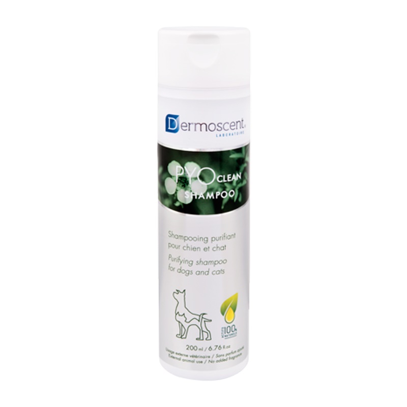 Dermoscent PYOclean Shampoo /Почистващ Шампоан За Кучета И Котки/-200мл Dermoscent PYOclean Shampoo /Почистващ Шампоан За Кучета И Котки/-200мл
