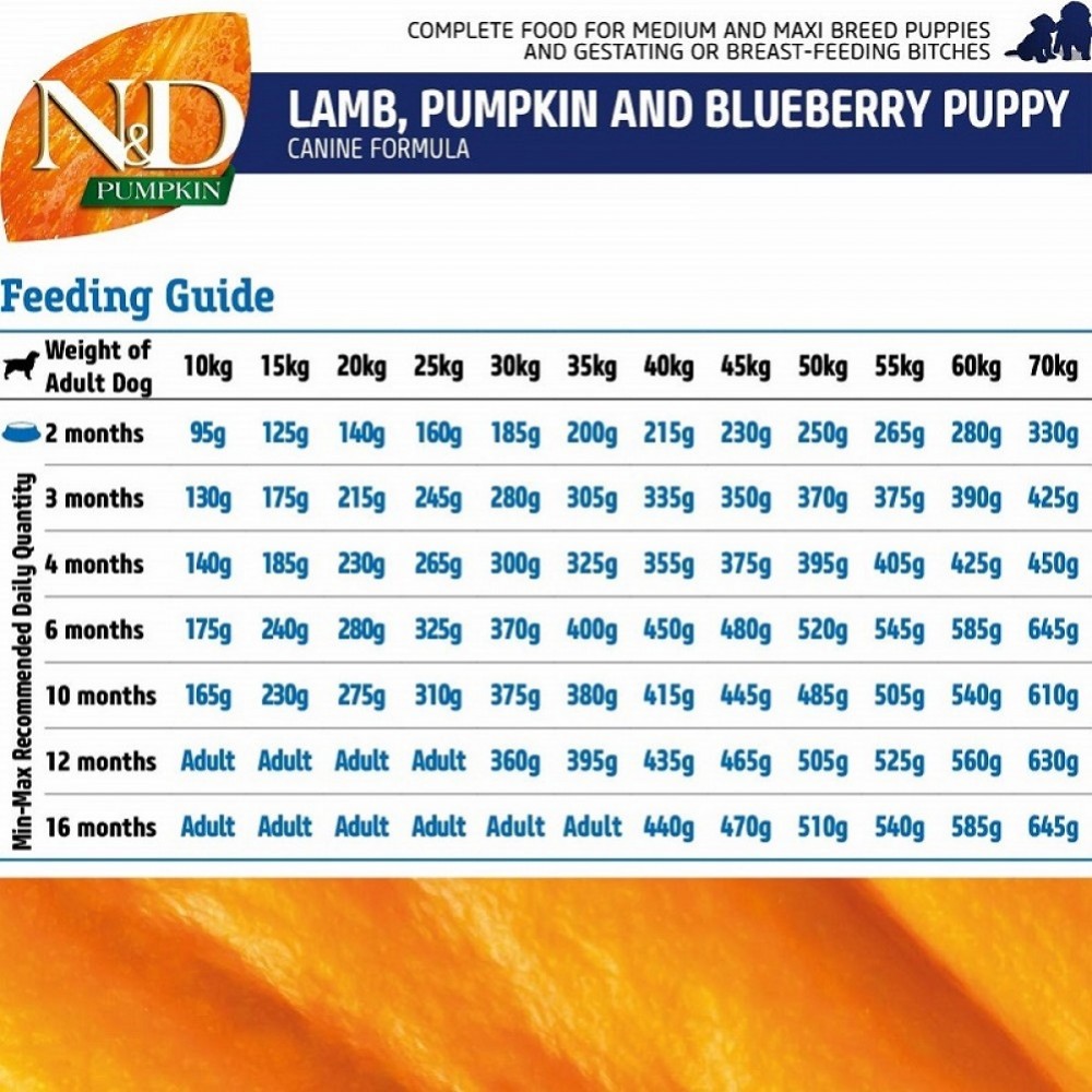 N&D Pumpkin Canine Puppy Medium&Maxi Lamb Pumpkin&Blueberry /Пълноценна Храна За Подрастващи Кученца Бременни Или Кърмещи Кучета Средни И Едри Породи С Агнешко Месо Тиква И Боровинки/-12кг N&D Pumpkin Canine Puppy Medium&Maxi Lamb Pumpkin&Blueberry /Пълноценна Храна За Подрастващи Кученца Бременни Или Кърмещи Кучета Средни И Едри Породи С Агнешко Месо Тиква И Боровинки/-12кг