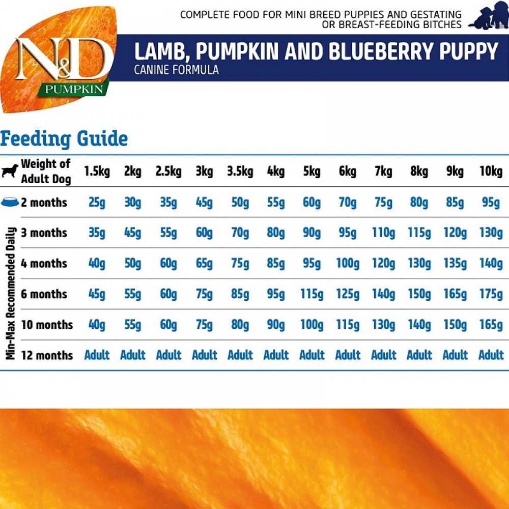 N&D Pumpkin Canine Puppy Mini Lamb Pumpkin&Blueberry /Пълноценна Храна За Подрастващи Кученца Бременни Или Кърмещи Кучета Дребни Породи С Агнешко Месо Тиква И Боровинки/-2,5кг N&D Pumpkin Canine Puppy Mini Lamb Pumpkin&Blueberry /Пълноценна Храна За Подрастващи Кученца Бременни Или Кърмещи Кучета Дребни Породи С Агнешко Месо Тиква И Боровинки/-2,5кг