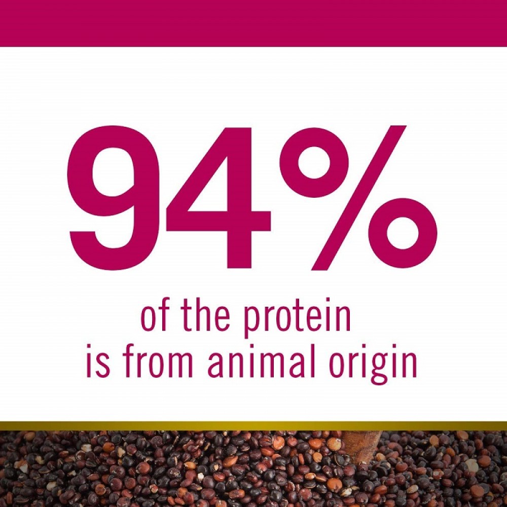 N&D Quinoa Canine Adult Mini Weight Management Lamb /Пълноценна Храна За Израснали Кучета Дребни Породи Склонни Към Напълняване С Агнешко Месо И Киноа/-800гр