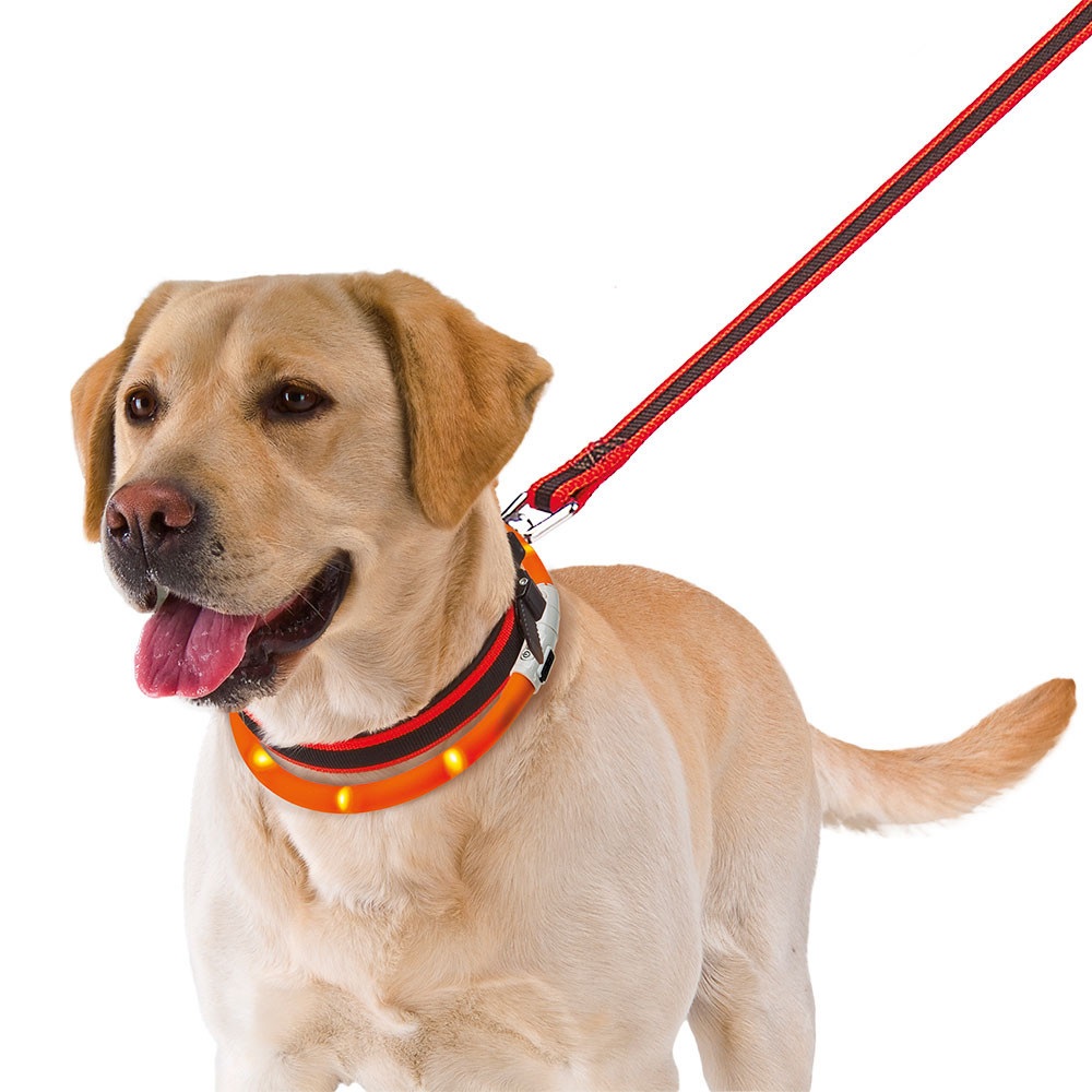 Ferplast Night Over-Collar 70 /USB Светещ Нашийник За Куче/-70см