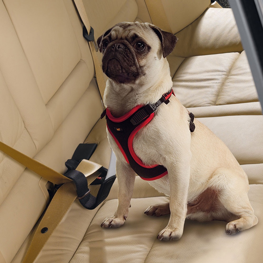 Ferplast Dog Travel Belt /Предпазен Повод За Автомобил/-50х4см Ferplast Dog Travel Belt /Предпазен Повод За Автомобил/-50х4см