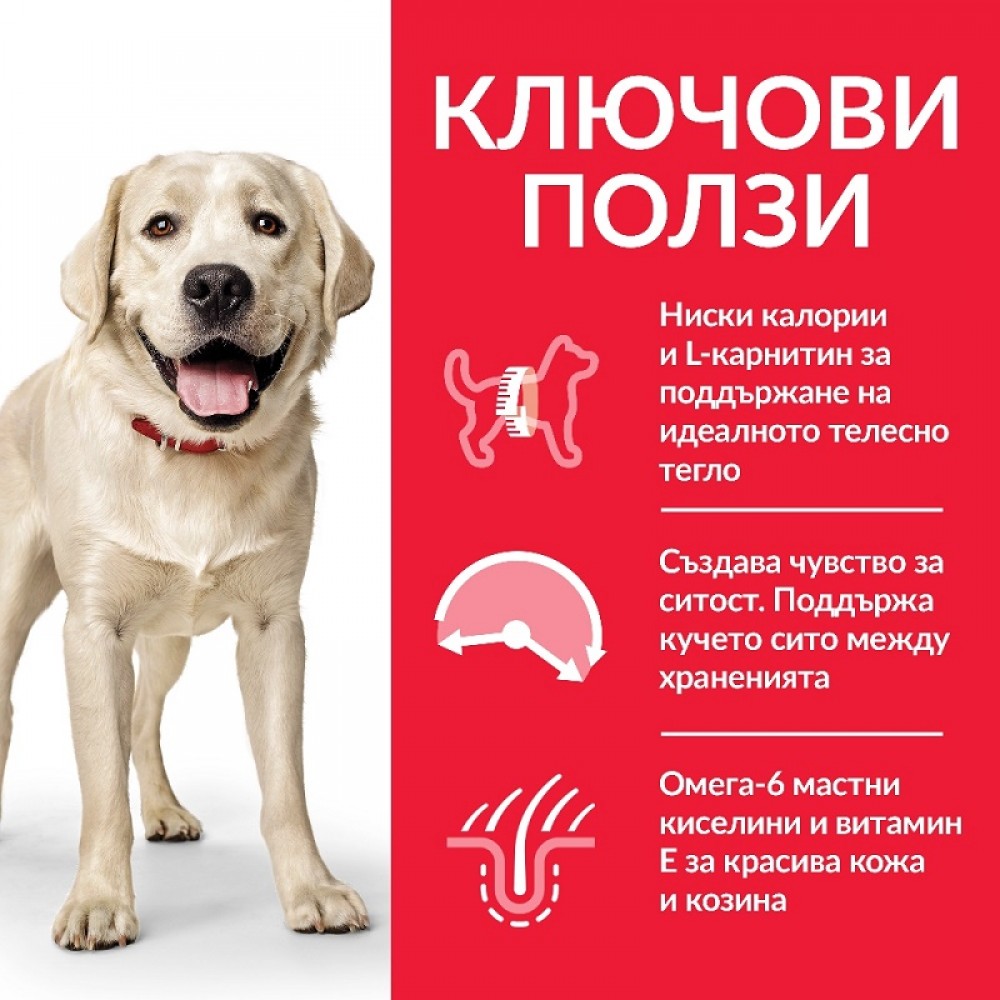 Hill's Science Plan Canine Adult Lаrge Breed Light With Chicken /Пълноценна Храна За Израснали Кучета Големи Породи С Намалени Енергийни Нужди/-14кг Hill's Science Plan Canine Adult Lаrge Breed Light With Chicken /Пълноценна Храна За Израснали Кучета Големи Породи С Намалени Енергийни Нужди/-14кг