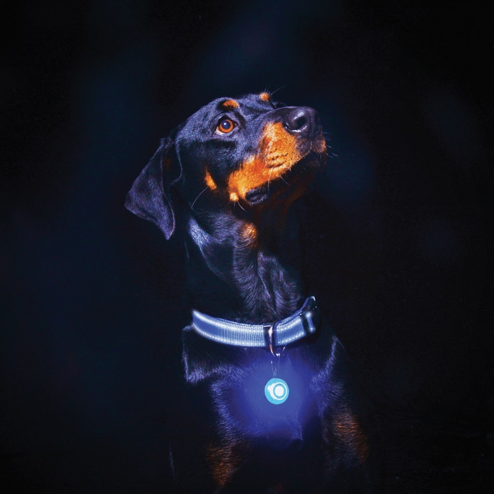 Rogz RogLite Safety Light Tag Blue /Сигнална Лампа За Куче/-Ø3,1см