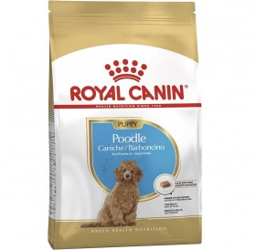Royal Canin Poodle Puppy /Храна За Подрастващи Кученца Порода Пудел/-500гр