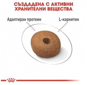 Royal Canin Medium Light Weight Care /Храна За Израснали Кучета Средни Породи Склонни Към Напълняване/-12кг