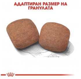 Royal Canin Giant Adult /Храна За Израснали Кучета Гигантски Породи/-15кг