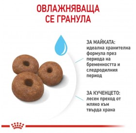 Royal Canin Giant Starter M&B /Храна За Отбиване На Кученца И За Бременни И Кърмещи Кучета Гигантски Породи/-15кг