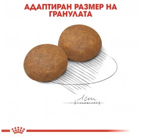 Royal Canin Maxi Adult 5+ /Храна За Възрастни Кучета Едри Породи/-15кг