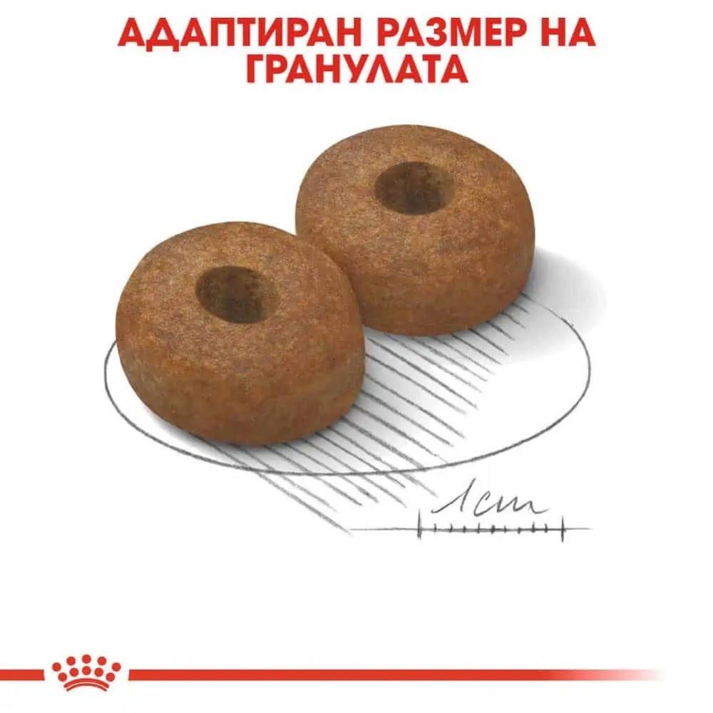 Royal Canin Maxi Ageing 8+ /Храна За Стари Кучета Едри Породи/-15кг Royal Canin Maxi Ageing 8+ /Храна За Стари Кучета Едри Породи/-15кг