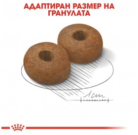 Royal Canin Maxi Ageing 8+ /Храна За Стари Кучета Едри Породи/-15кг