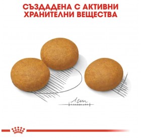 Royal Canin Maxi Dermacomfort /Храна За Израснали Кучета Едри Породи Склонни Към Кожни Възпаления И Сърбежи/-12кг