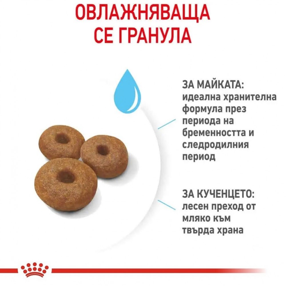Royal Canin Maxi Starter M&B /Храна За Отбиване На Кученца И За Бременни И Кърмещи Кучета Едри Породи/-15кг Royal Canin Maxi Starter M&B /Храна За Отбиване На Кученца И За Бременни И Кърмещи Кучета Едри Породи/-15кг