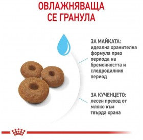 Royal Canin Maxi Starter M&B /Храна За Отбиване На Кученца И За Бременни И Кърмещи Кучета Едри Породи/-15кг