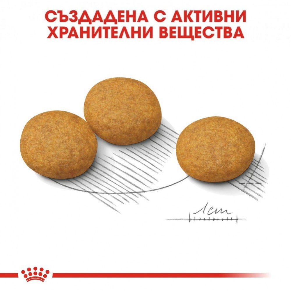 Royal Canin Medium Dermacomfort /Храна За Израснали Кучета Средни Породи Склонни Към Кожни Възпаления И Сърбежи/-12кг Royal Canin Medium Dermacomfort /Храна За Израснали Кучета Средни Породи Склонни Към Кожни Възпаления И Сърбежи/-12кг
