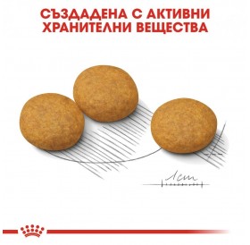 Royal Canin Medium Dermacomfort /Храна За Израснали Кучета Средни Породи Склонни Към Кожни Възпаления И Сърбежи/-12кг