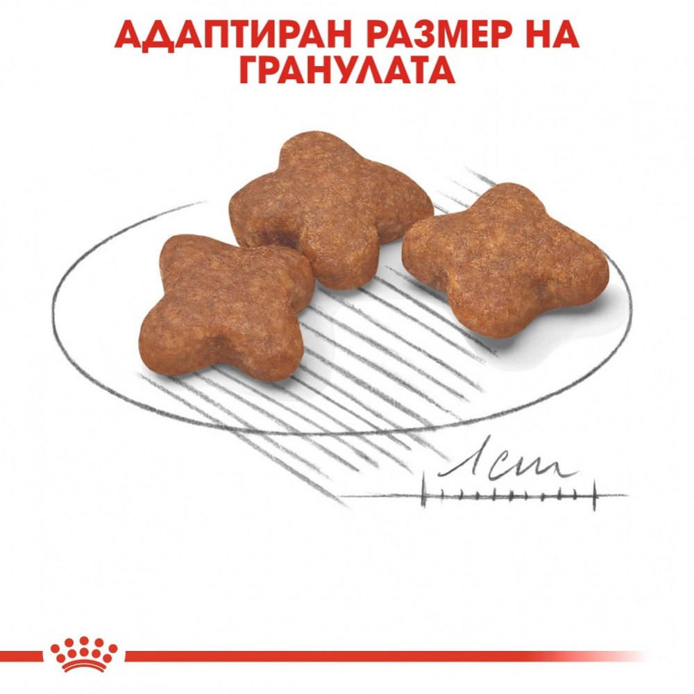 Royal Canin Mini Adult 8+ /Храна За Възрастни Кучета Дребни Породи/-2кг