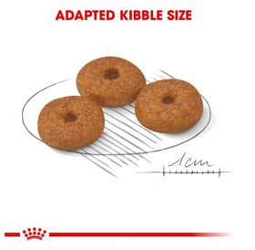 Royal Canin Mini Ageing 12+ /Храна За Стари Кучета Дребни Породи/-1,5кг