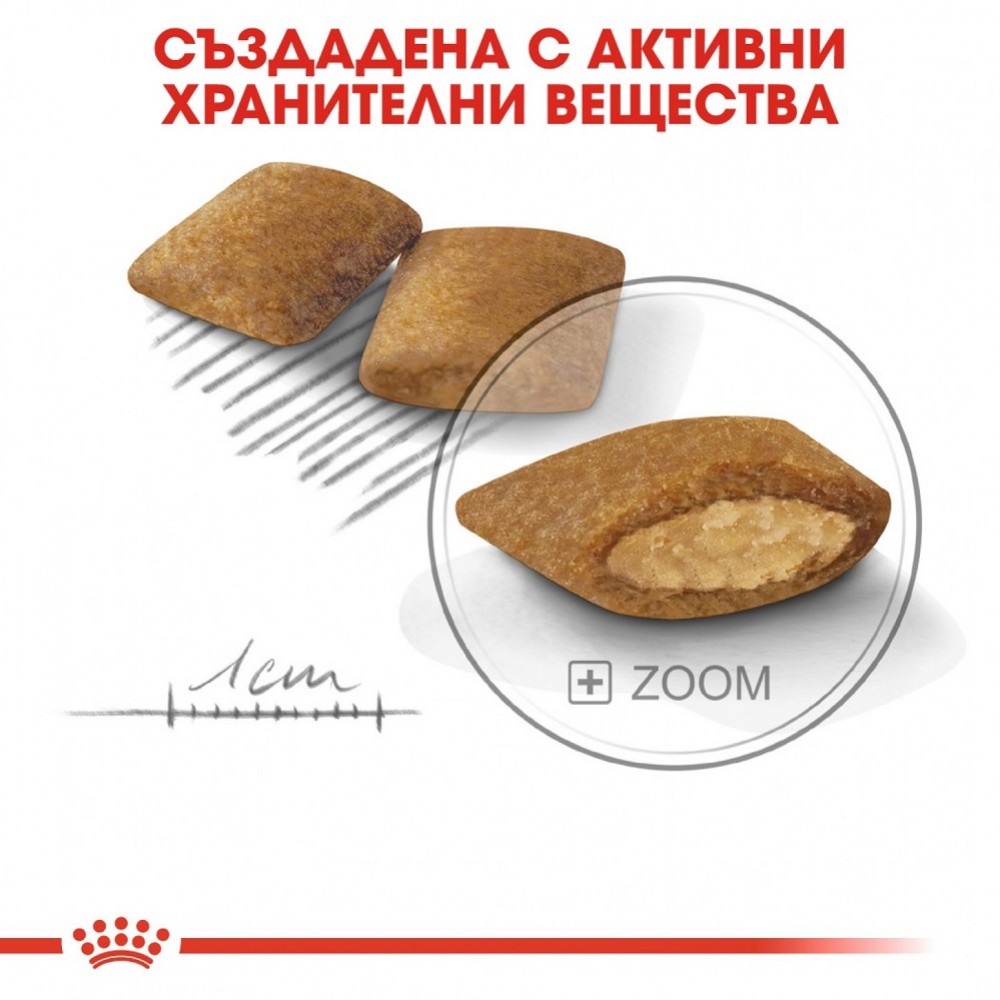 Royal Canin Mini Exigent /Храна За Изключително Капризни Кучета Дребни Породи/-3кг