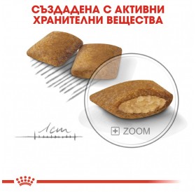 Royal Canin Mini Exigent /Храна За Изключително Капризни Кучета Дребни Породи/-3кг