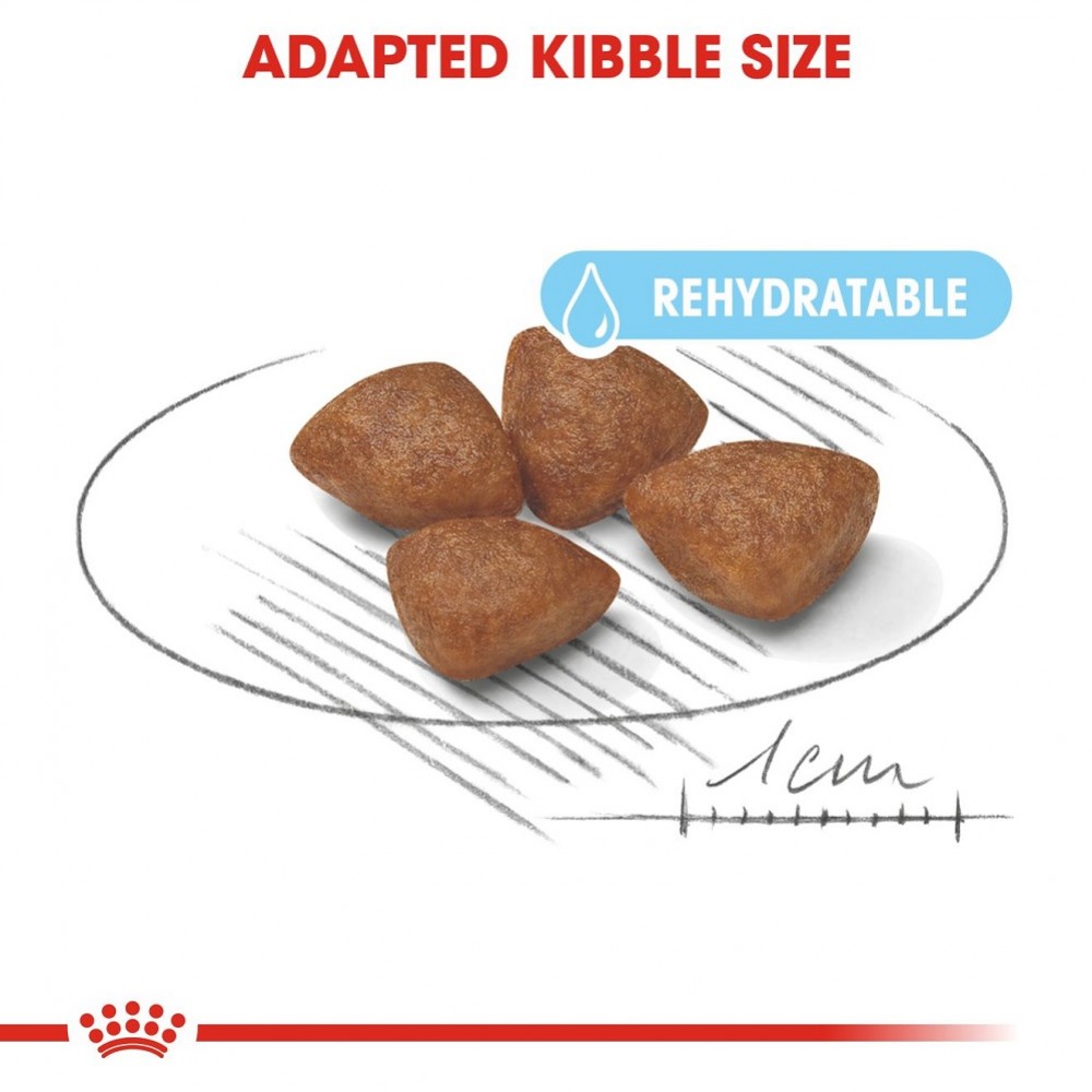 Royal Canin Mini Starter M&B /Храна За Отбиване На Кученца И За Бременни И Кърмещи Кучета Дребни Породи/-4кг Royal Canin Mini Starter M&B /Храна За Отбиване На Кученца И За Бременни И Кърмещи Кучета Дребни Породи/-4кг