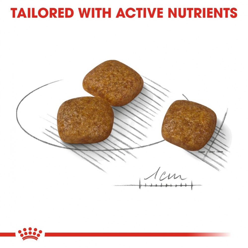Royal Canin Mini Urinary Care /Харна За Израснали Кучета Дребни Породи Поддържаща Здрав Уринарен Тракт/-1кг Royal Canin Mini Urinary Care /Харна За Израснали Кучета Дребни Породи Поддържаща Здрав Уринарен Тракт/-1кг