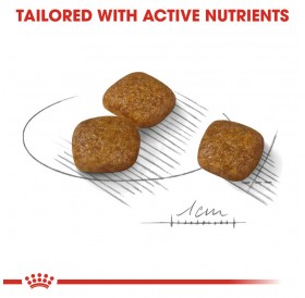 Royal Canin Mini Urinary Care /Харна За Израснали Кучета Дребни Породи Поддържаща Здрав Уринарен Тракт/-1кг