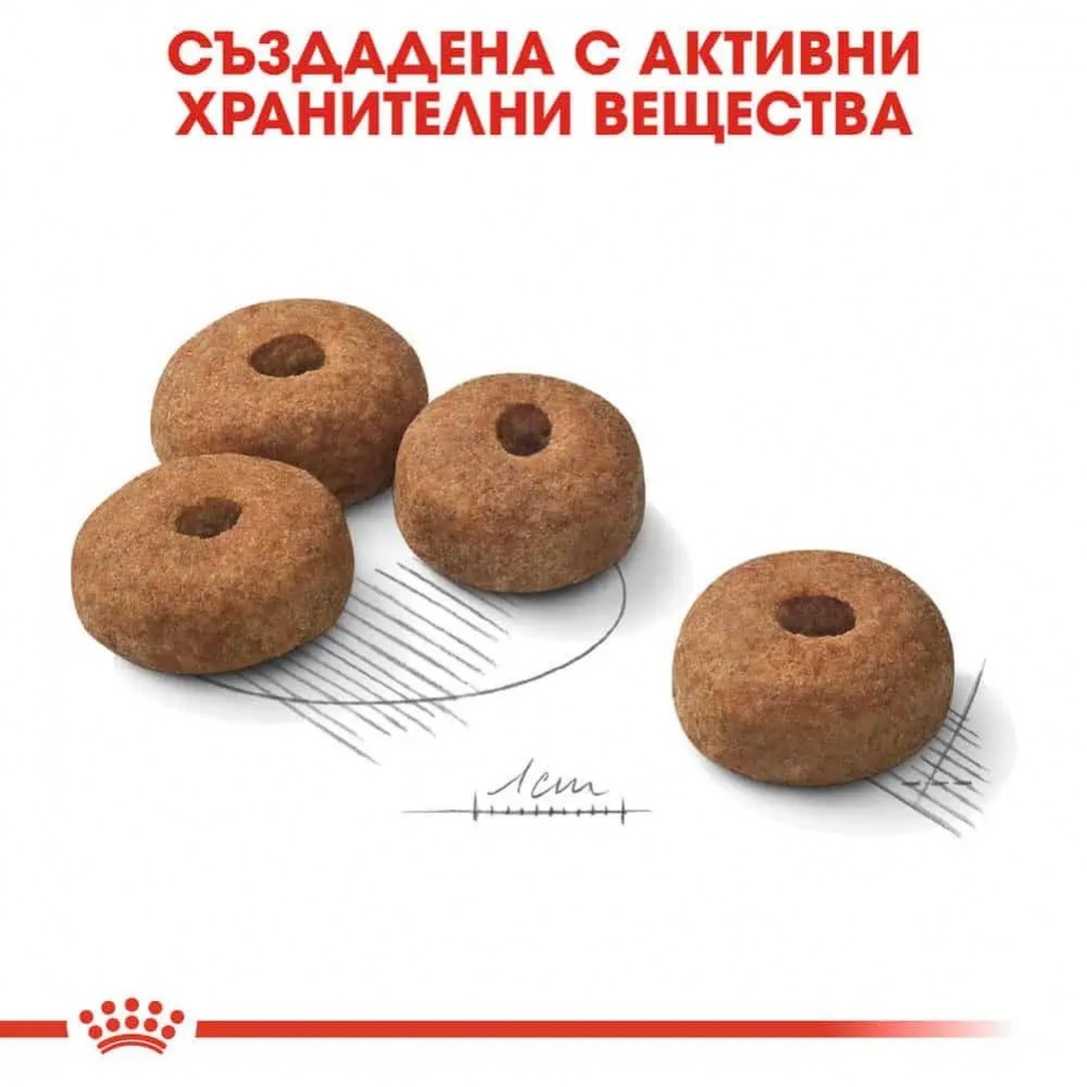 Royal Canin Mini Sterilised /Храна За Израснали Кучета Дребни Породи След Кастрация/-1кг Royal Canin Mini Sterilised /Храна За Израснали Кучета Дребни Породи След Кастрация/-1кг