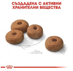 Royal Canin Mini Sterilised /Храна За Израснали Кучета Дребни Породи След Кастрация/-8кг