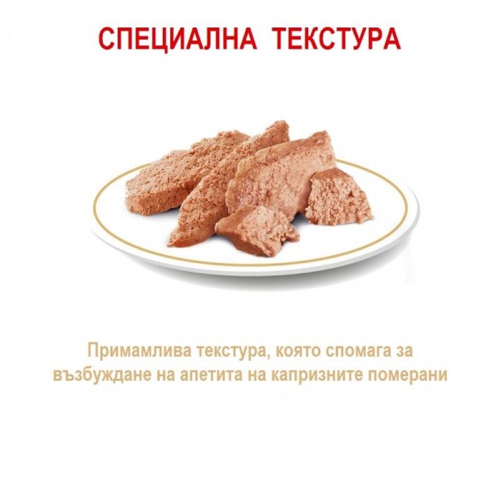 Royal Canin Pomeranian Adult Loaf In Sauce Pouches /Храна За Израснали Кучета Порода Померан/-12x85гр Royal Canin Pomeranian Adult Loaf In Sauce Pouches /Храна За Израснали Кучета Порода Померан/-12x85гр