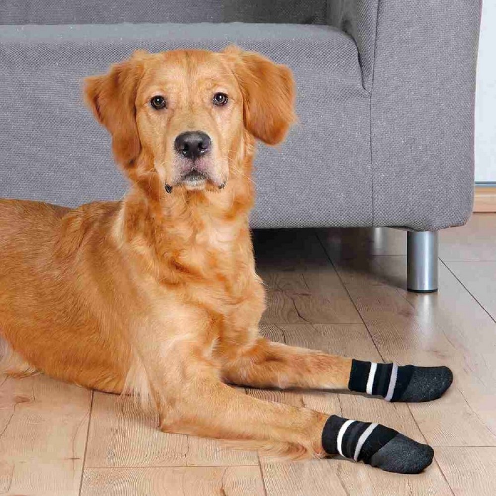 Trixie Dog Socks S-M /Чорапки За Куче/-2бр Trixie Dog Socks S-M /Чорапки За Куче/-2бр