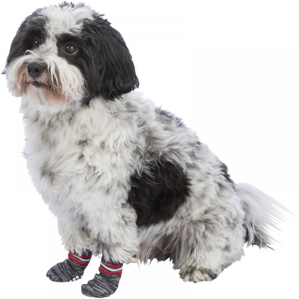 Trixie Dog Socks S-M /Чорапки За Куче/-2бр Trixie Dog Socks S-M /Чорапки За Куче/-2бр