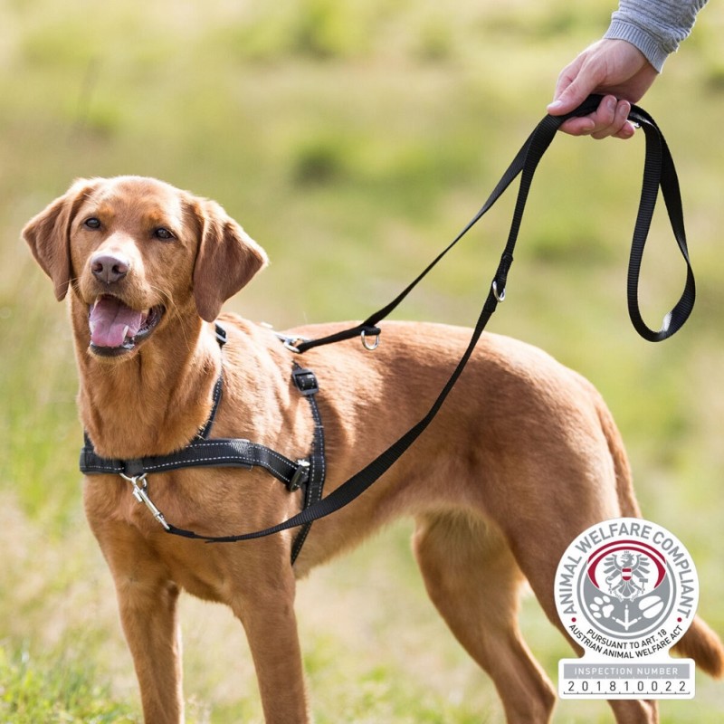 Trixie Training Harness Lead'n'Walk Soft L-XL /Тренировъчен Комплект За Куче Нагръдник И Повод/-2,5x65x105см Trixie Training Harness Lead'n'Walk Soft L-XL /Тренировъчен Комплект За Куче Нагръдник И Повод/-2,5x65x105см