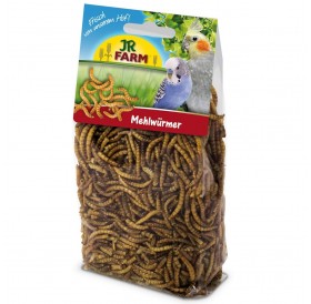 JR Farm Mealworms /Лакомство За птици брашнени червии/-25гр