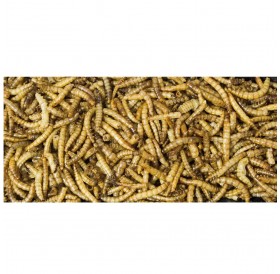 JR Farm Mealworms /Лакомство За птици брашнени червии/-25гр