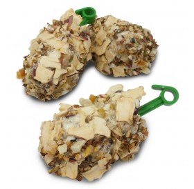 JR Farm Corn Rolls Fruit /Лакомства За Вълнисти Папагали И Канарчета С Плодове/-90гр