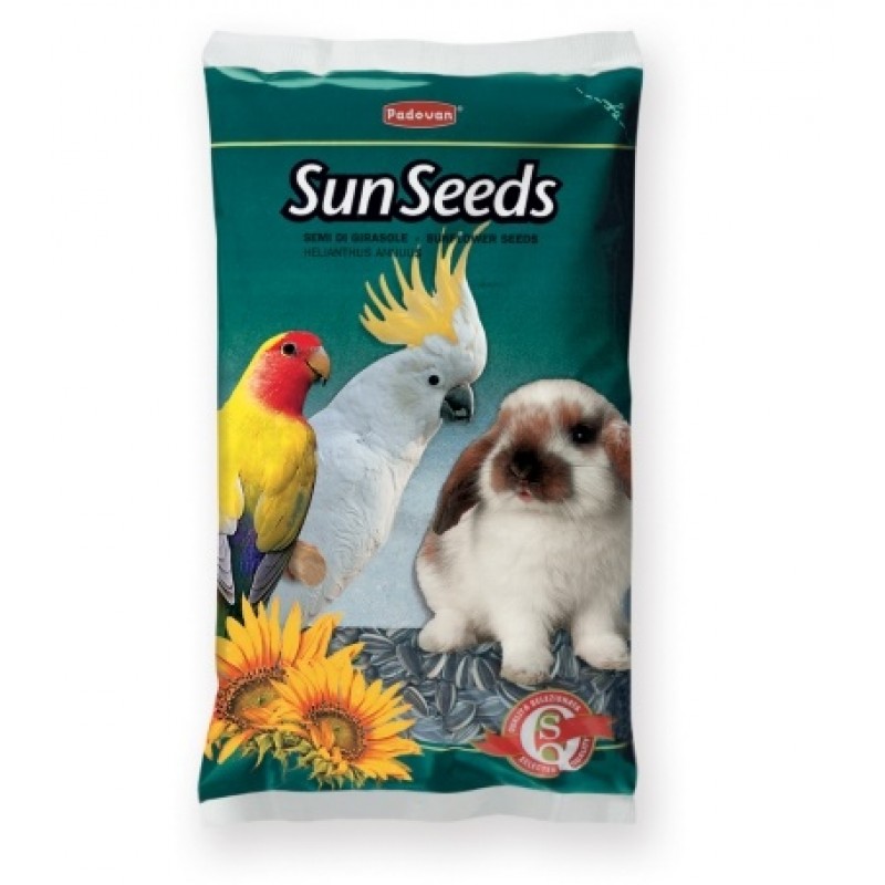 Padovan SunSeeds /Слънчогледово Семе/-500гр Padovan SunSeeds /Слънчогледово Семе/-500гр